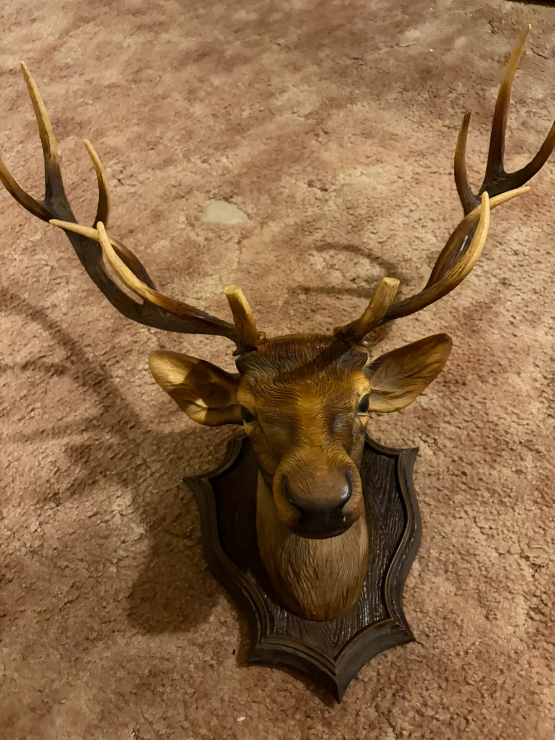 Deer Head Wall Mount. - photo 4