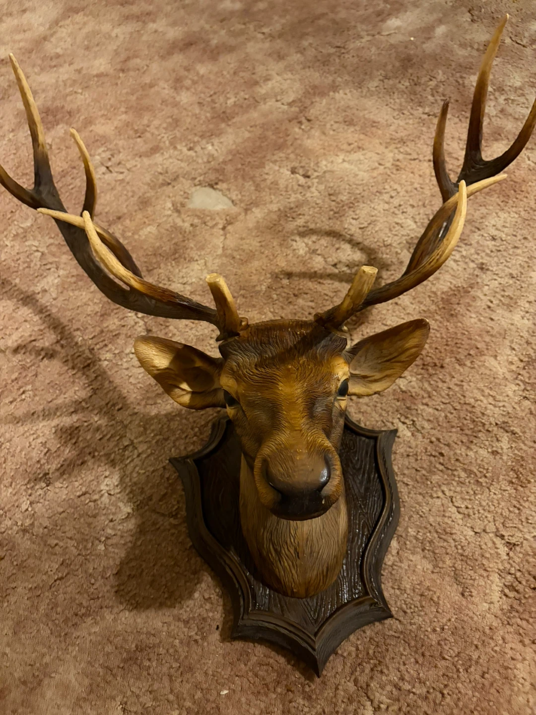 Deer Head Wall Mount.