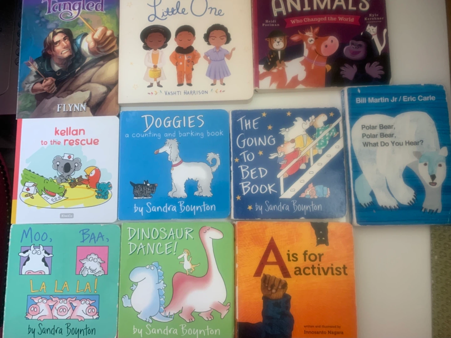 Children's Board Book Bundle (12 books)-1st 100 Trucks, etc. - photo 3
