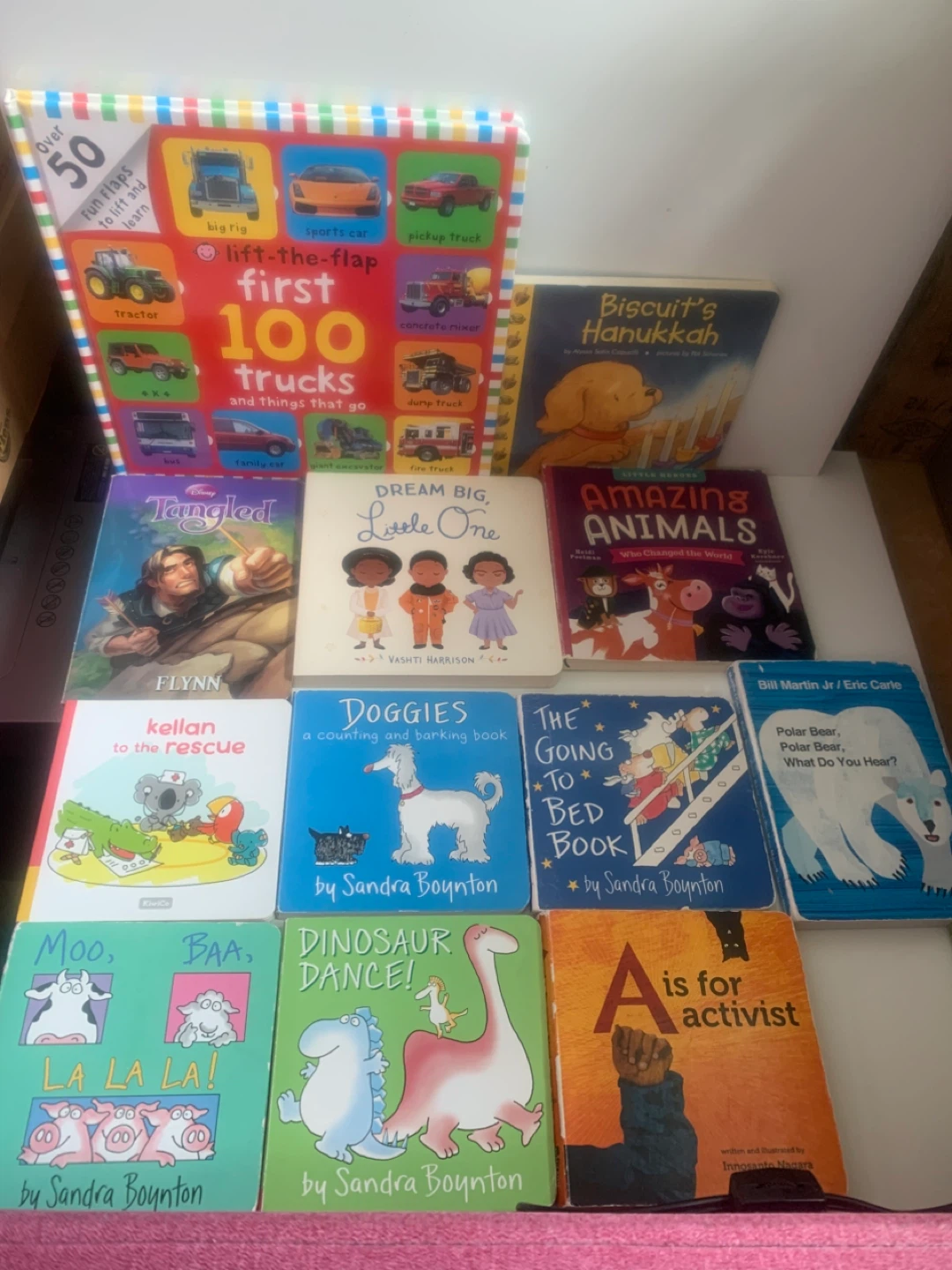 Children's Board Book Bundle (12 books)-1st 100 Trucks, etc.