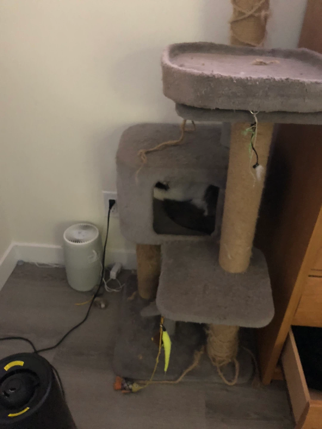 Cat Tree Condo with Multiple Levels - photo 2