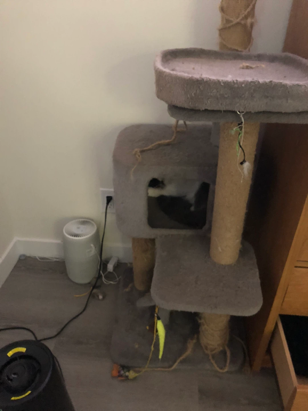 Cat Tree Condo with Multiple Levels
