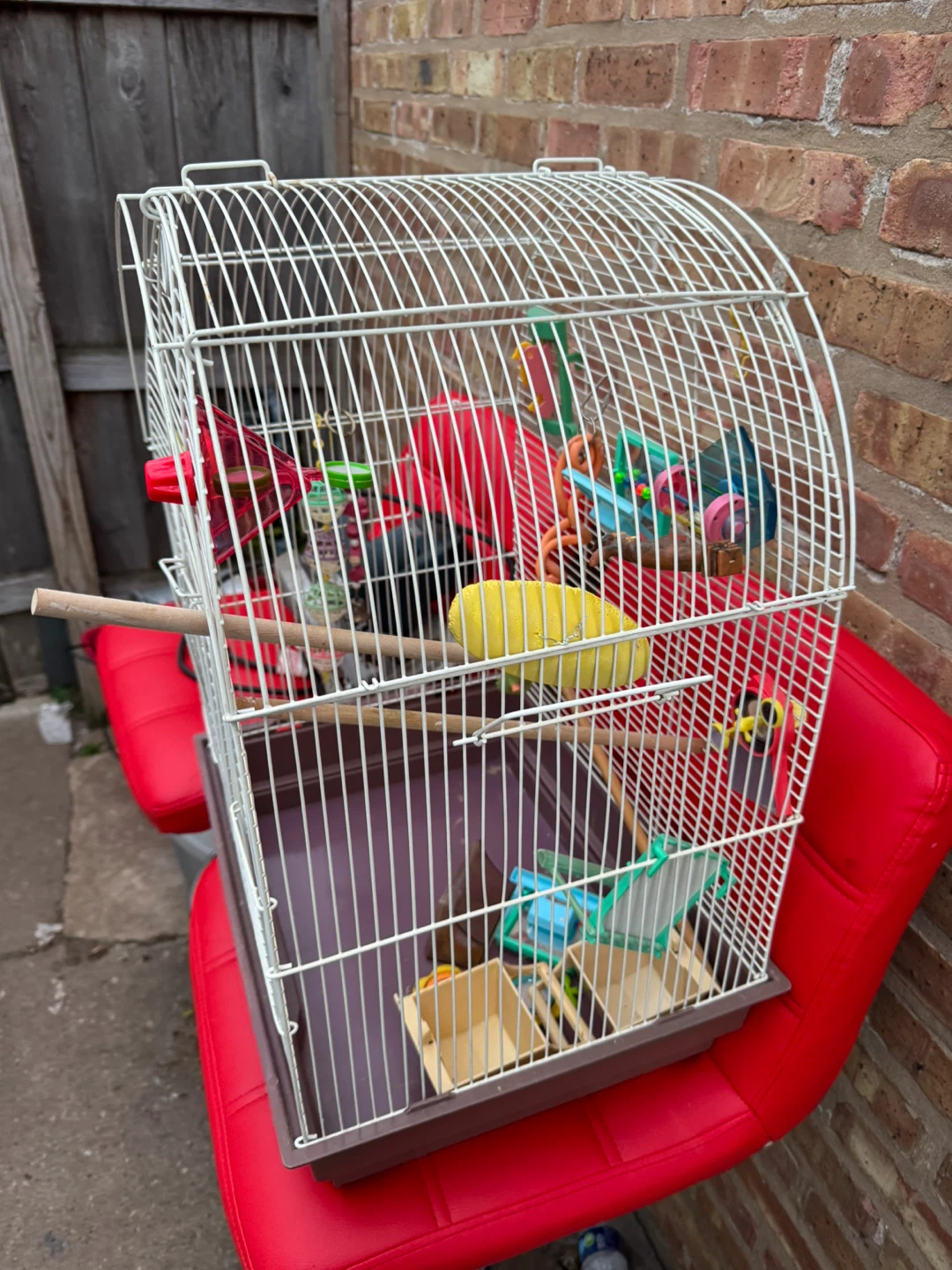 White Bird Cage with Perches and Toys - photo 2