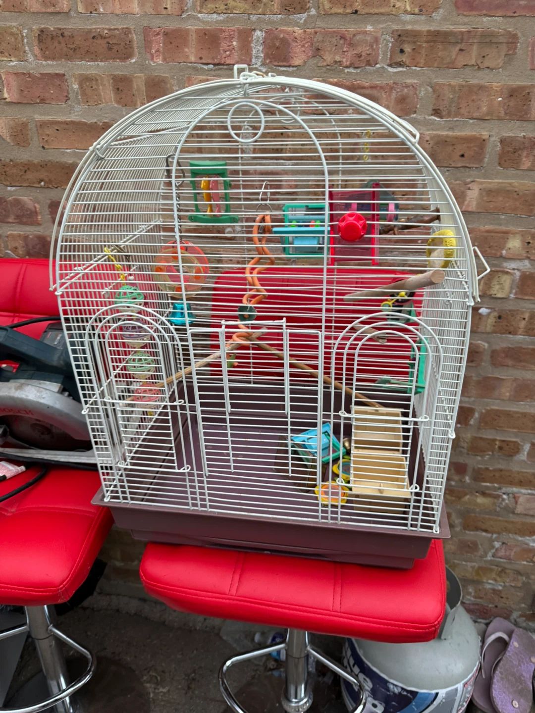 White Bird Cage with Perches and Toys