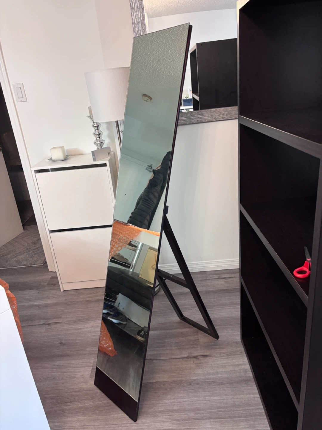 Stand up Mirror $45