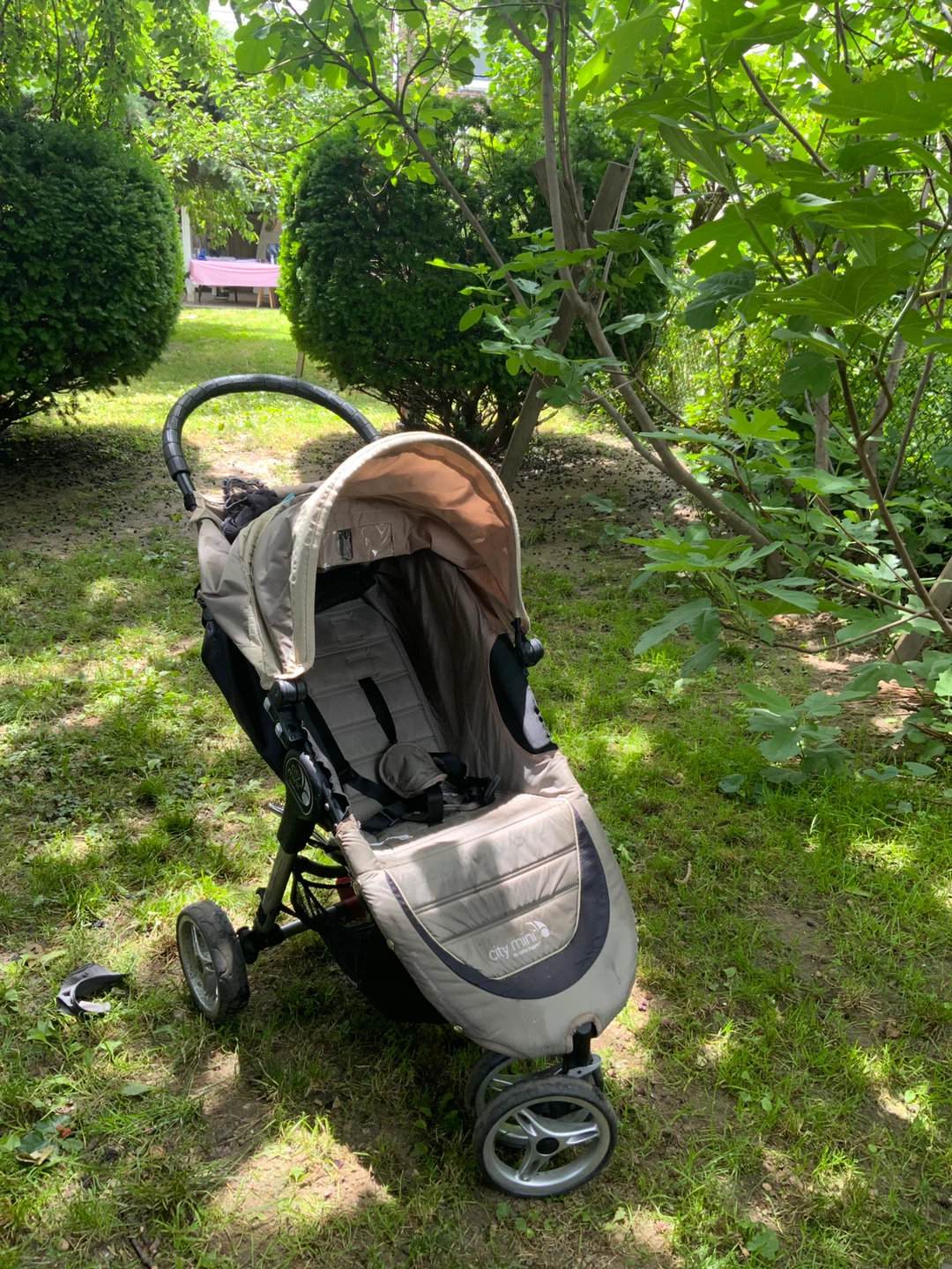 Bugaboo Cameleon stroller