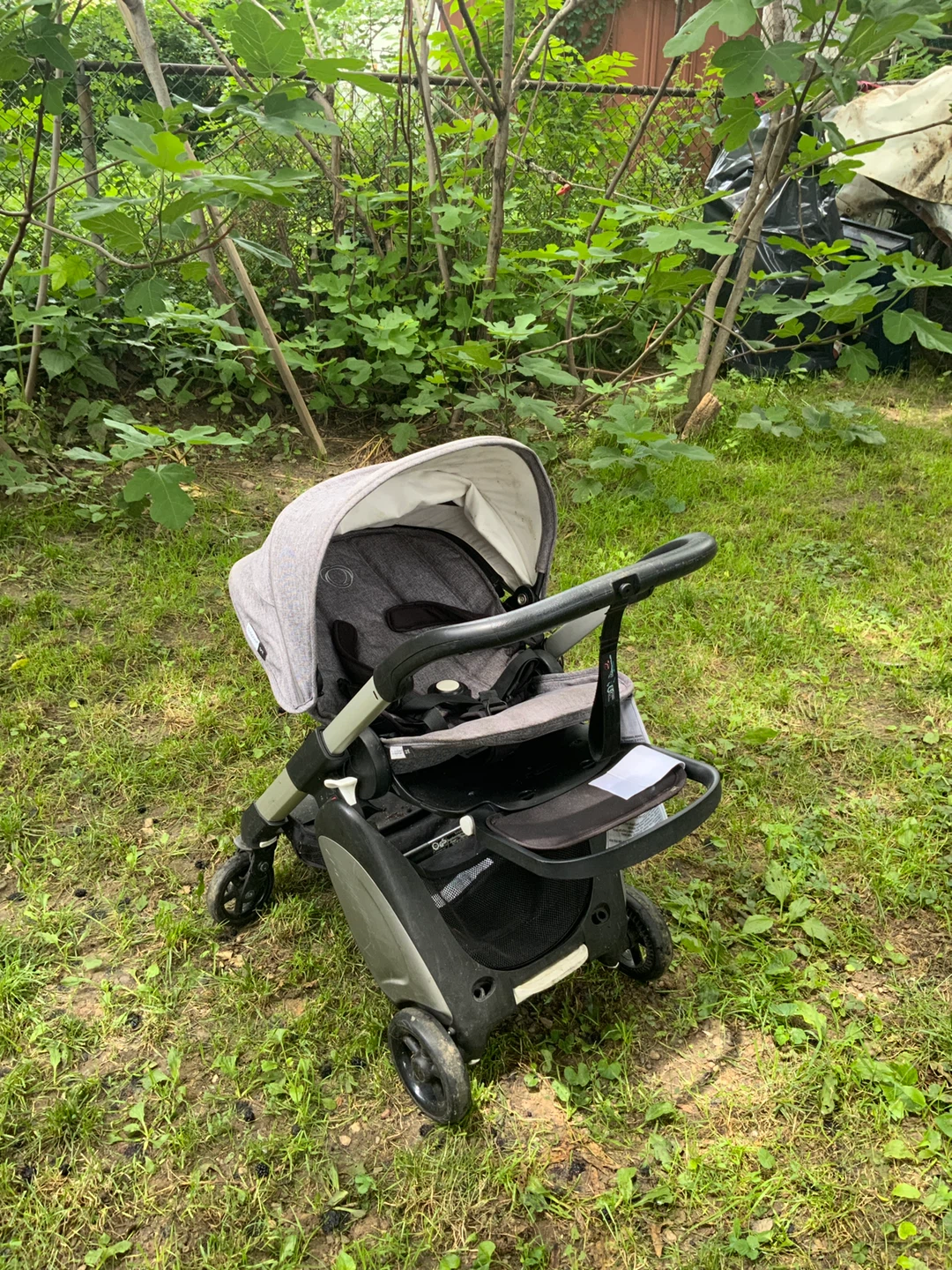 Bugaboo Cameleon stroller - photo 4