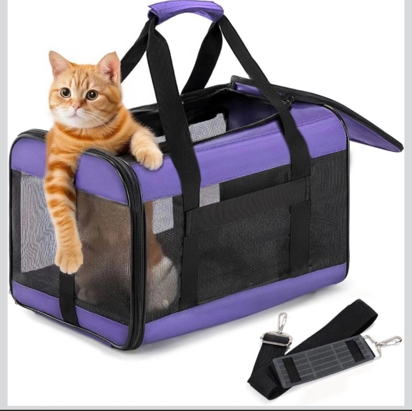 Purple Pet Carrier with Two Entrances