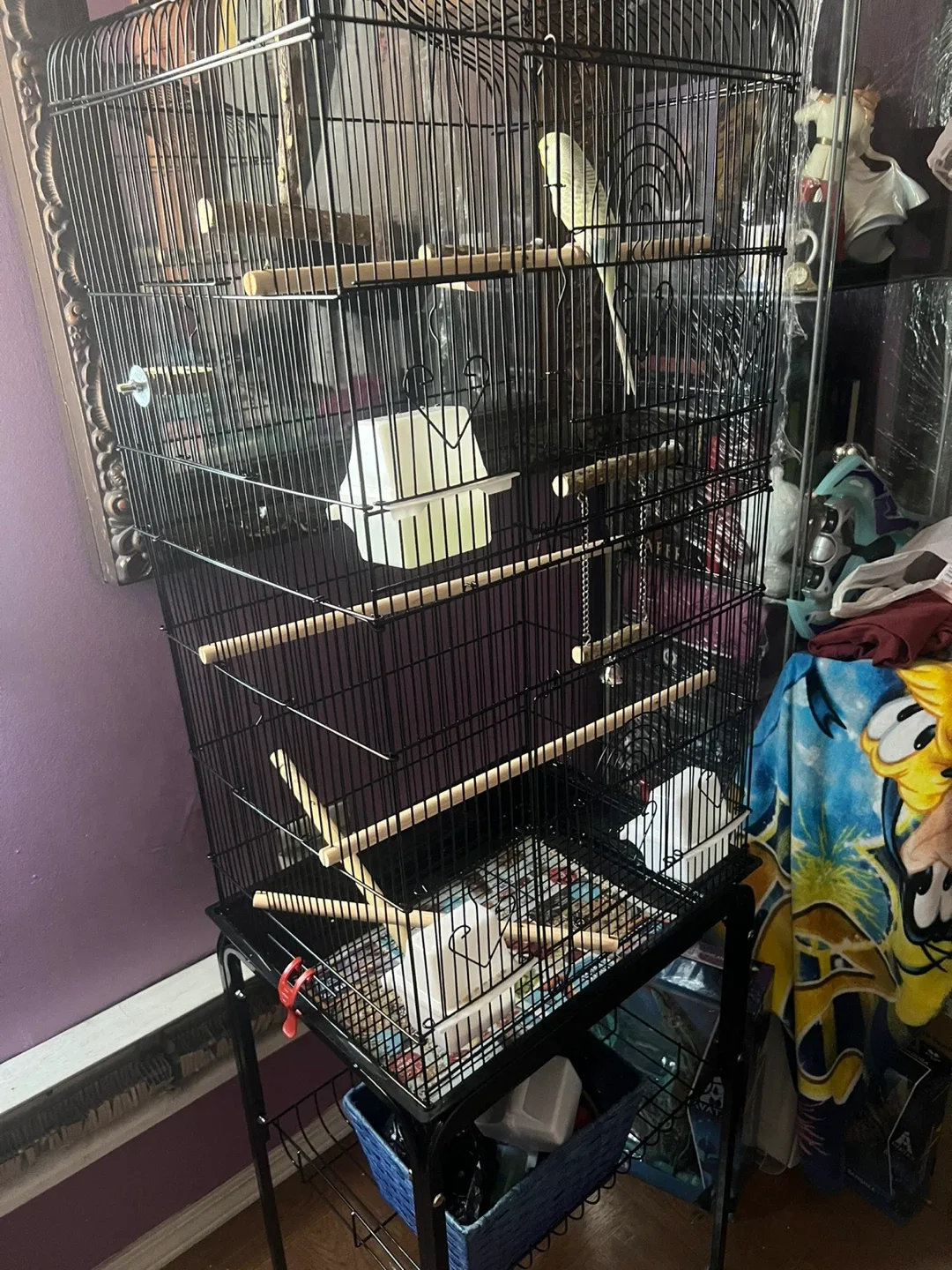 Black Bird Cage with Perches and Feeders ⚽