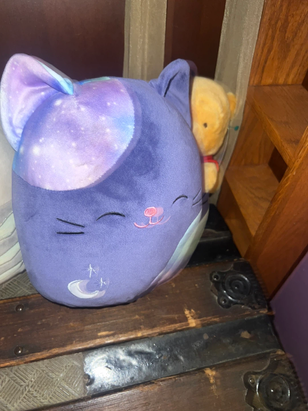 Purple Cat Plush Toy ⚽