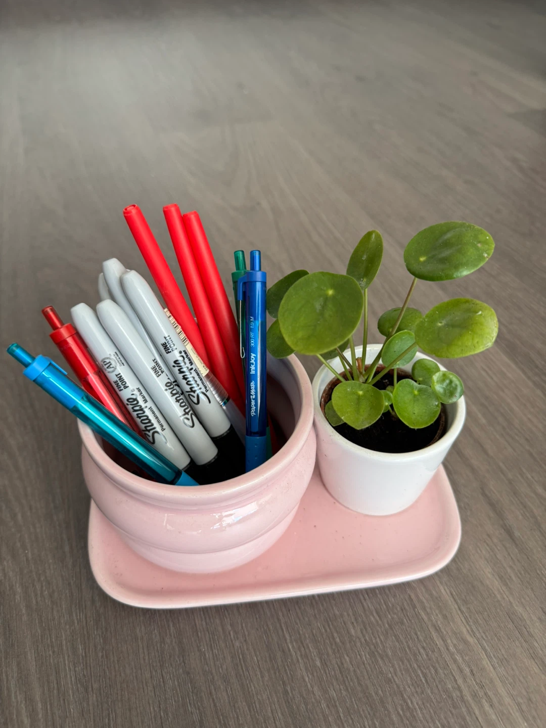 Pink Ceramic Pen Holder with Pilea Plant