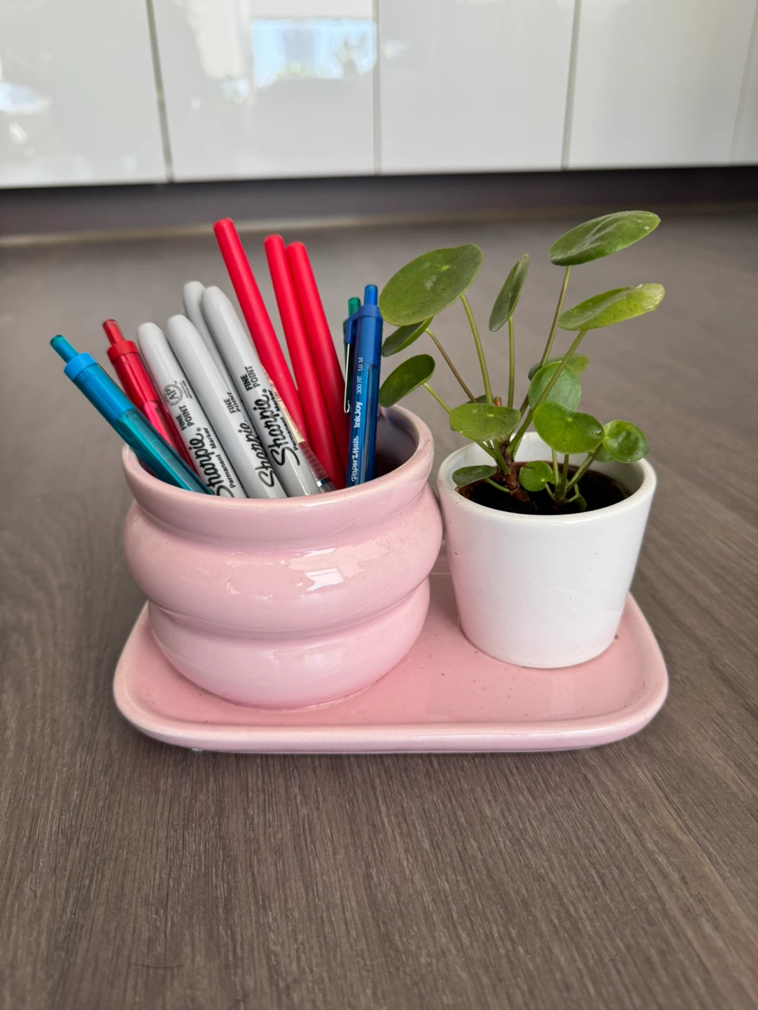 Pink Ceramic Pen Holder with Pilea Plant - photo 2