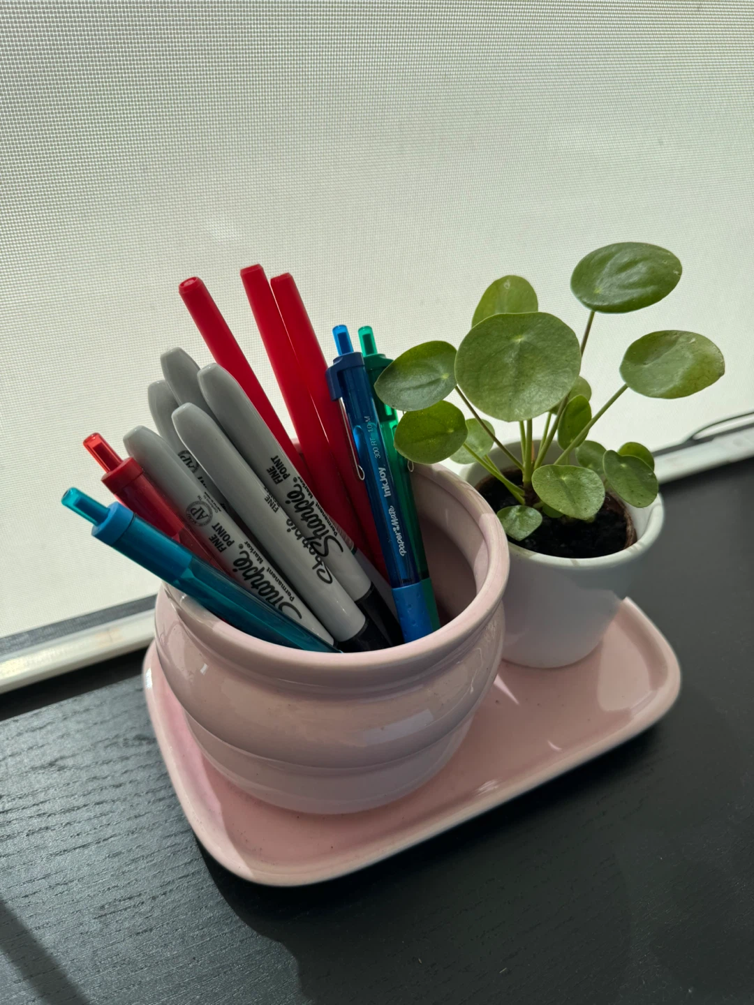 Pink Ceramic Pen Holder with Pilea Plant - photo 3