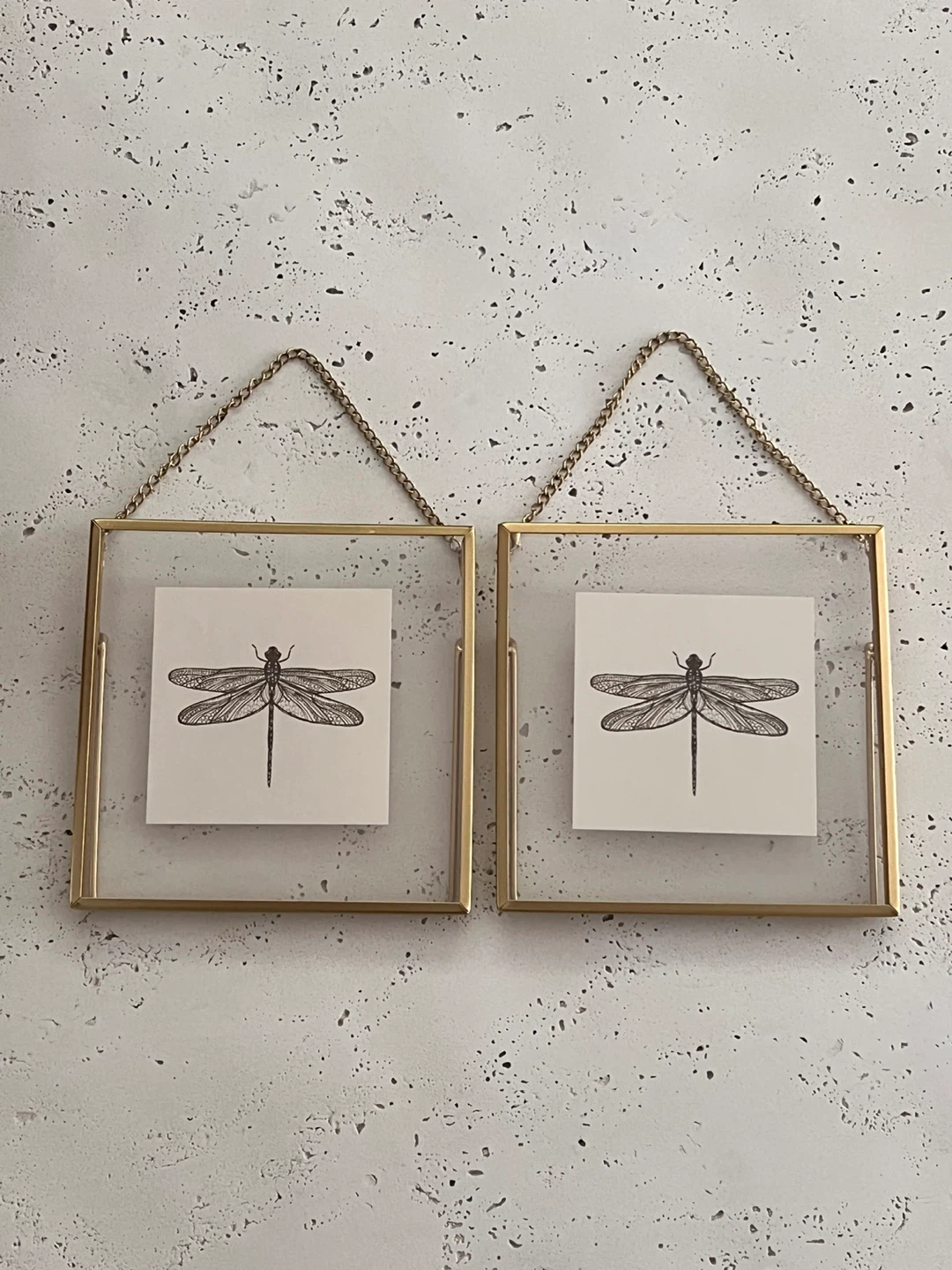 Set of 2 Dragonfly Picture Frames