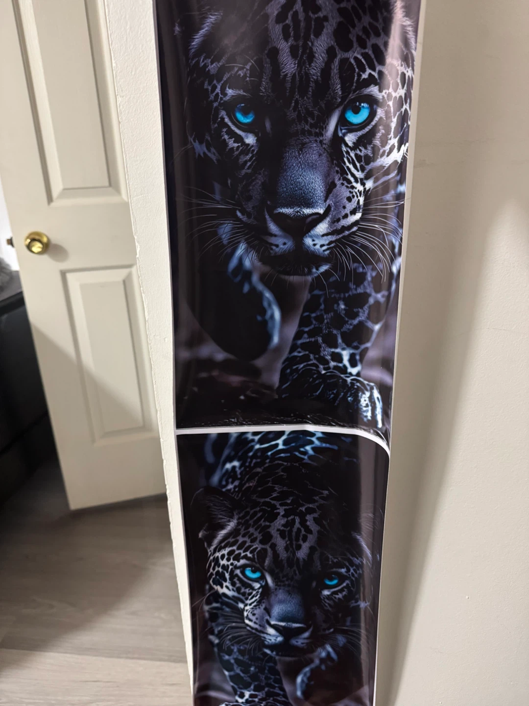 Jaguar Car Window Decal Sticker - photo 3