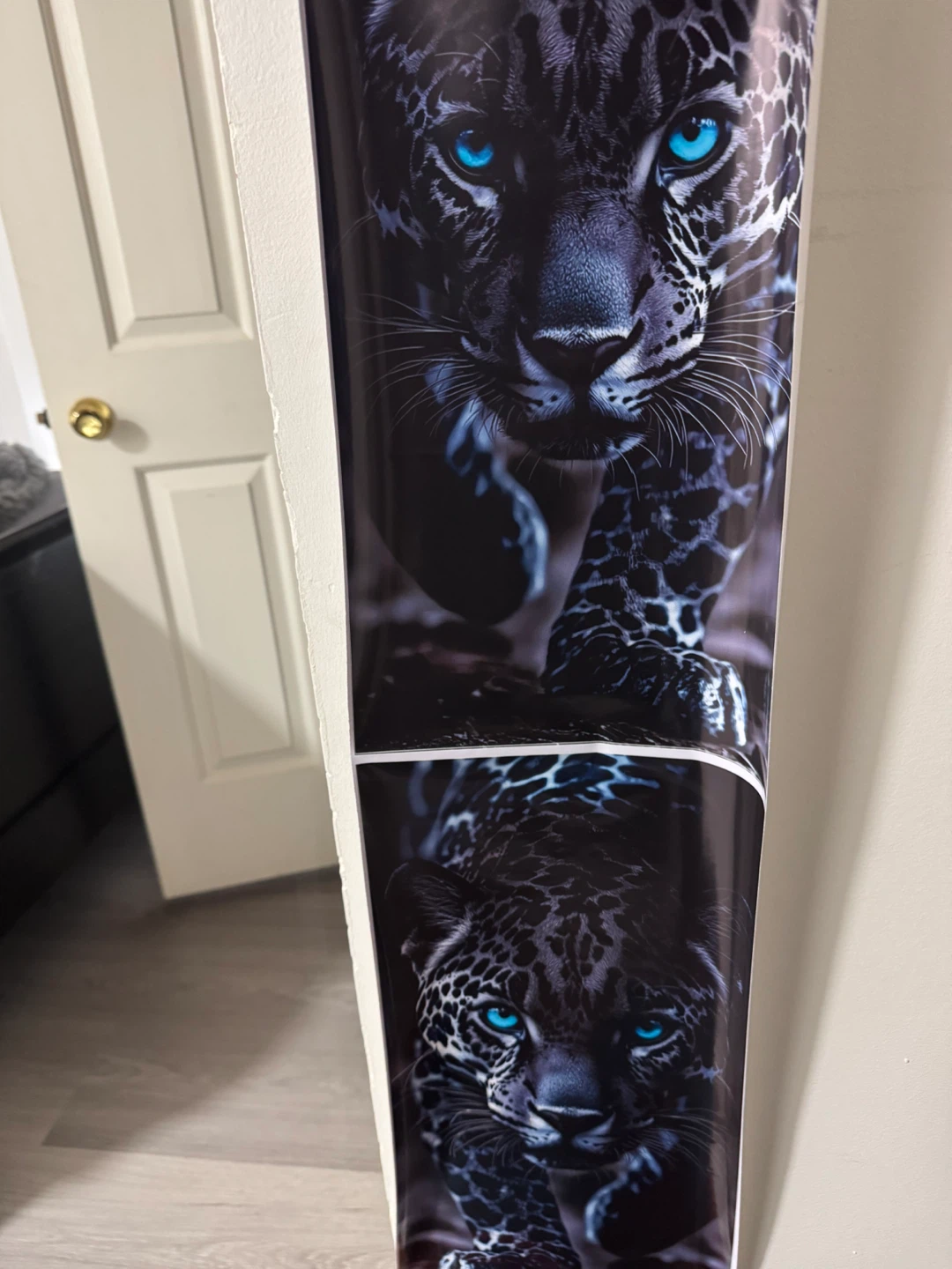 Jaguar Car Window Decal Sticker - photo 2