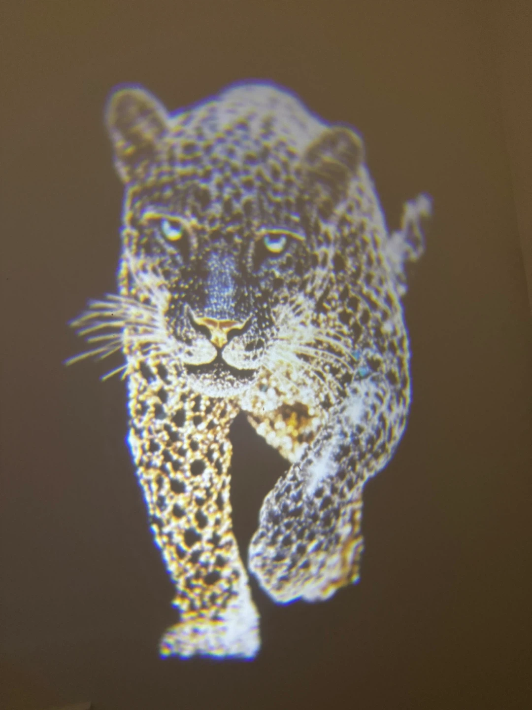 Cheetah Style Courtesy Car Door Lights - photo 2