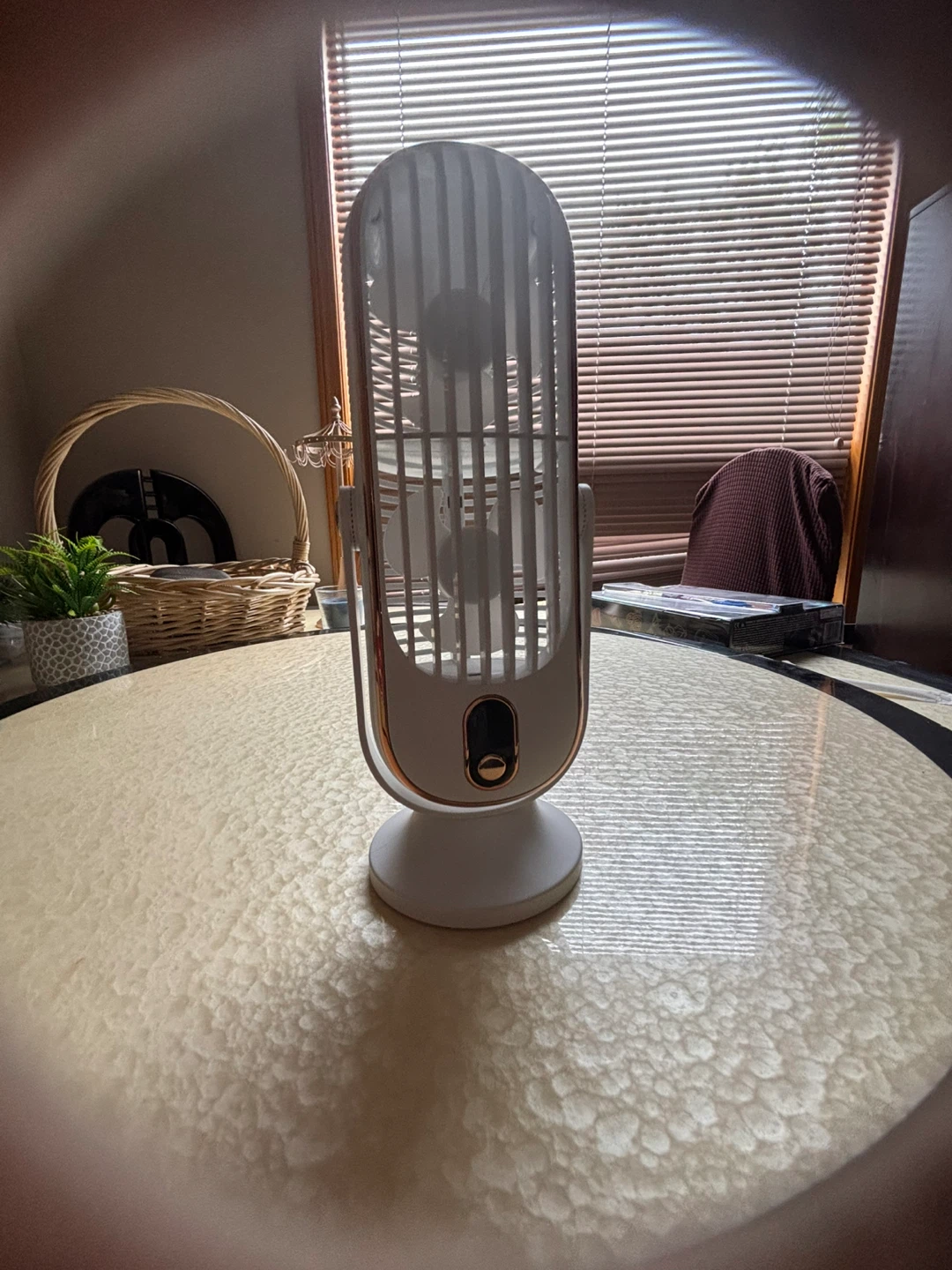 White Portable Desk Fan