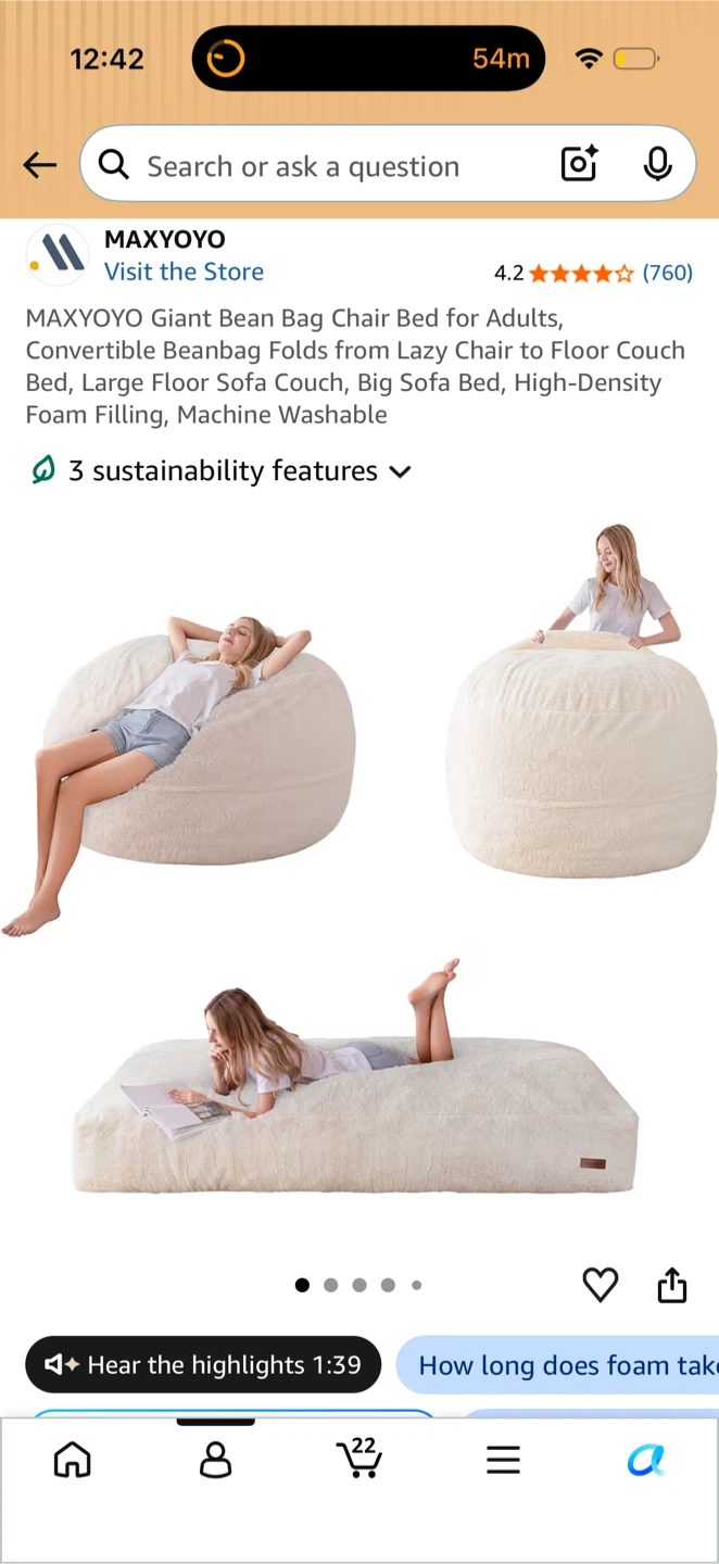 Bean Bag chair