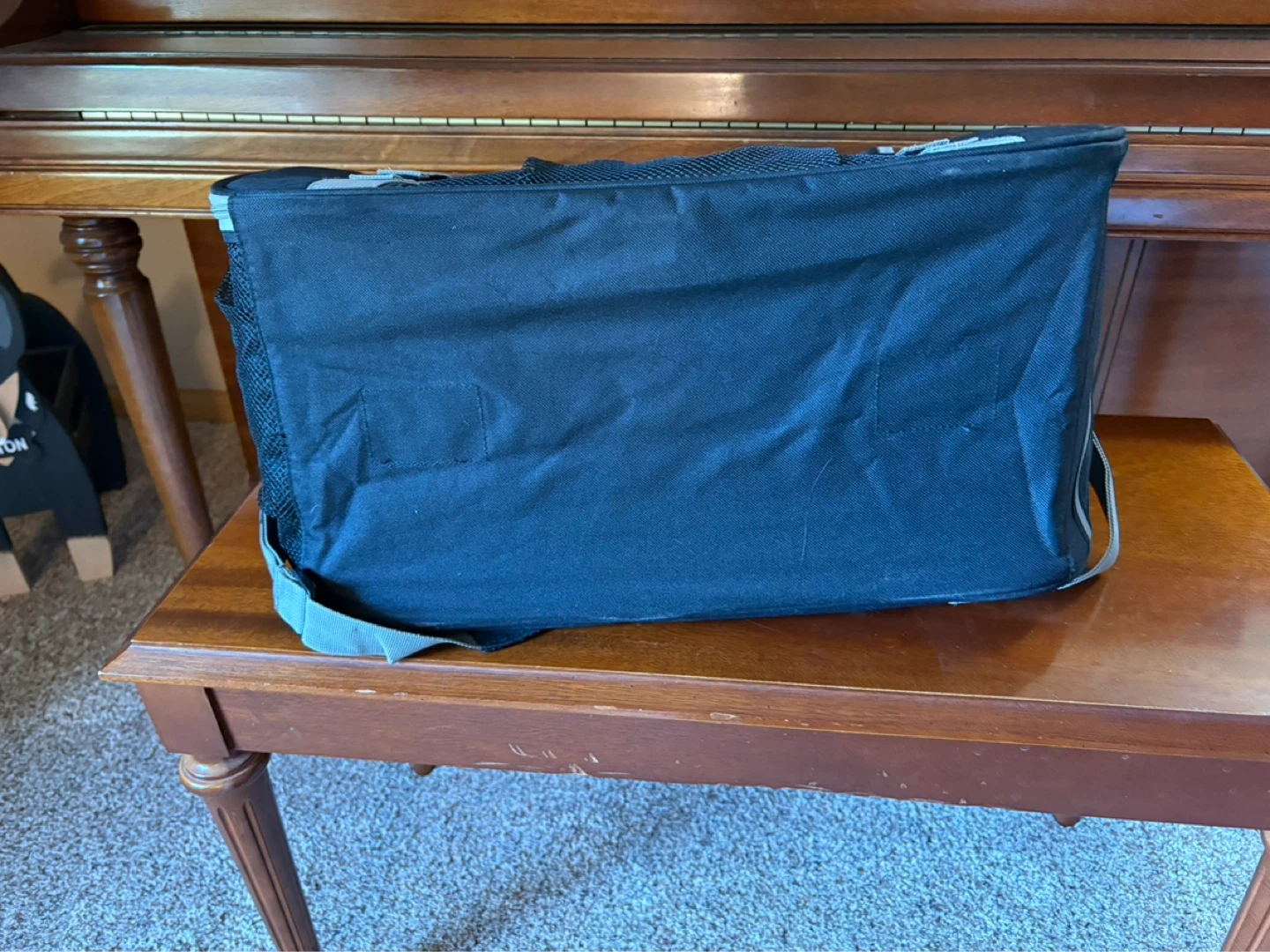 Bergan Pet Carrier Bag - photo 4