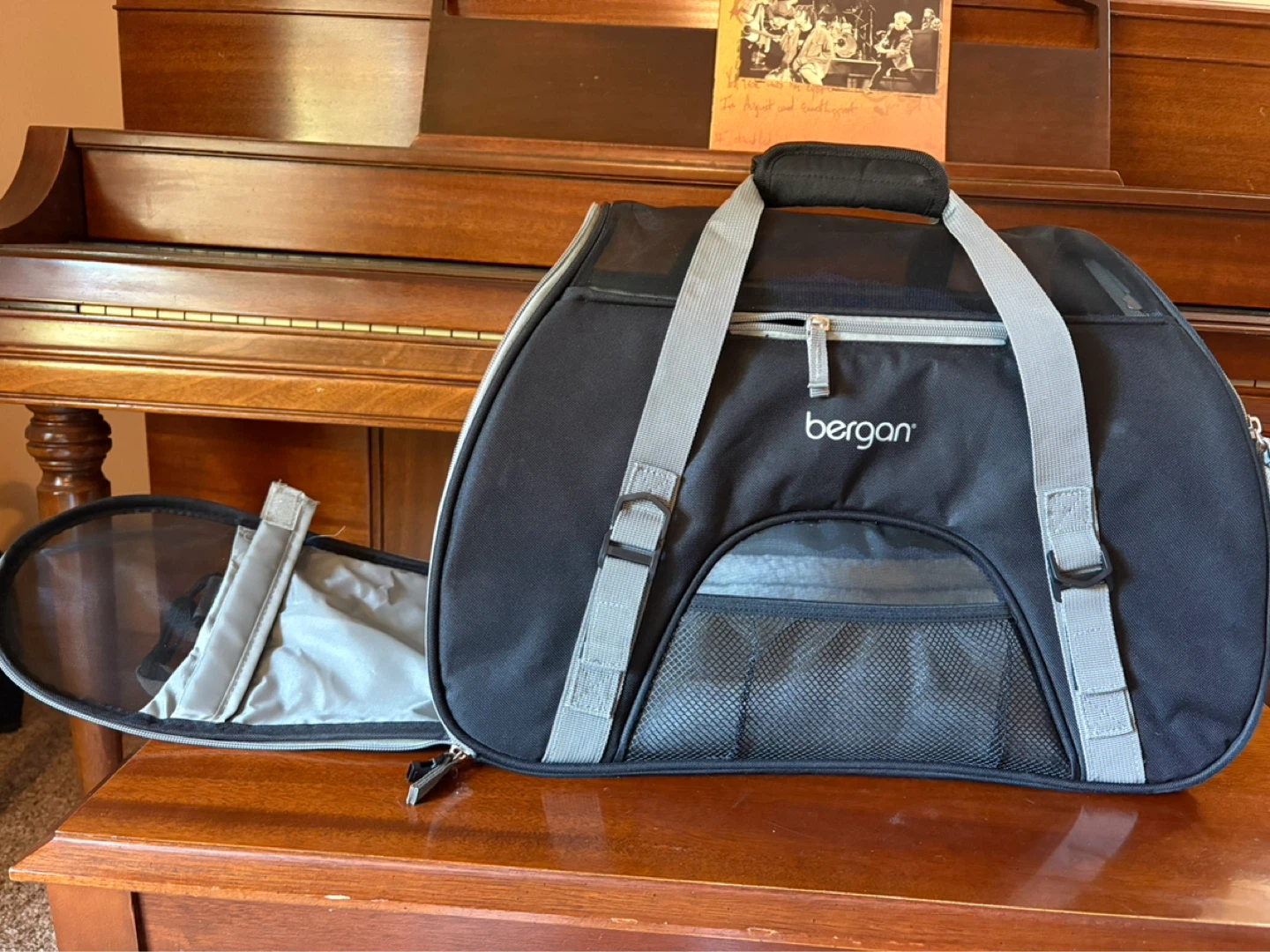Bergan Pet Carrier Bag