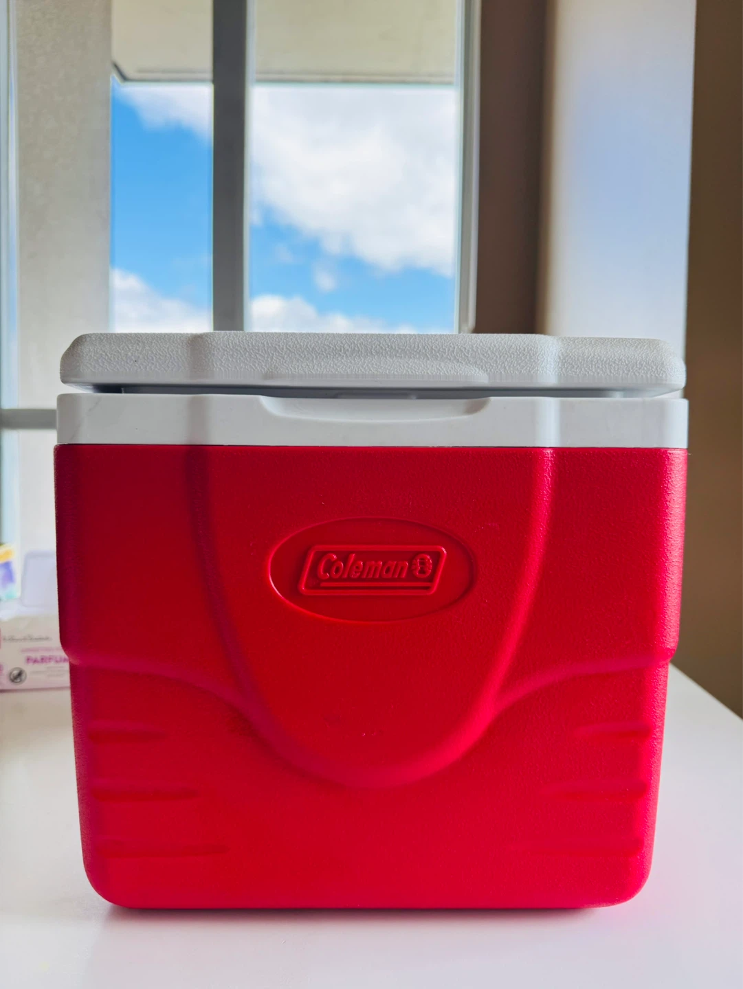Coleman Cooler 9-Quart/9 Cans capacity