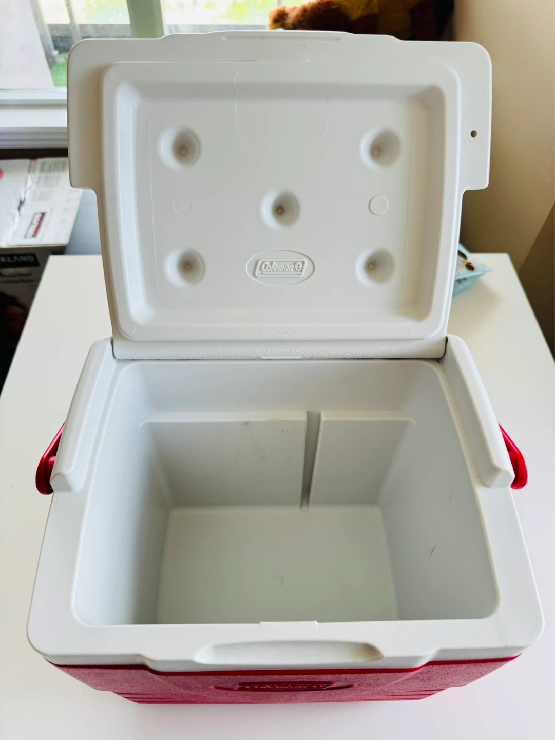 Coleman Cooler 9-Quart/9 Cans capacity - photo 5