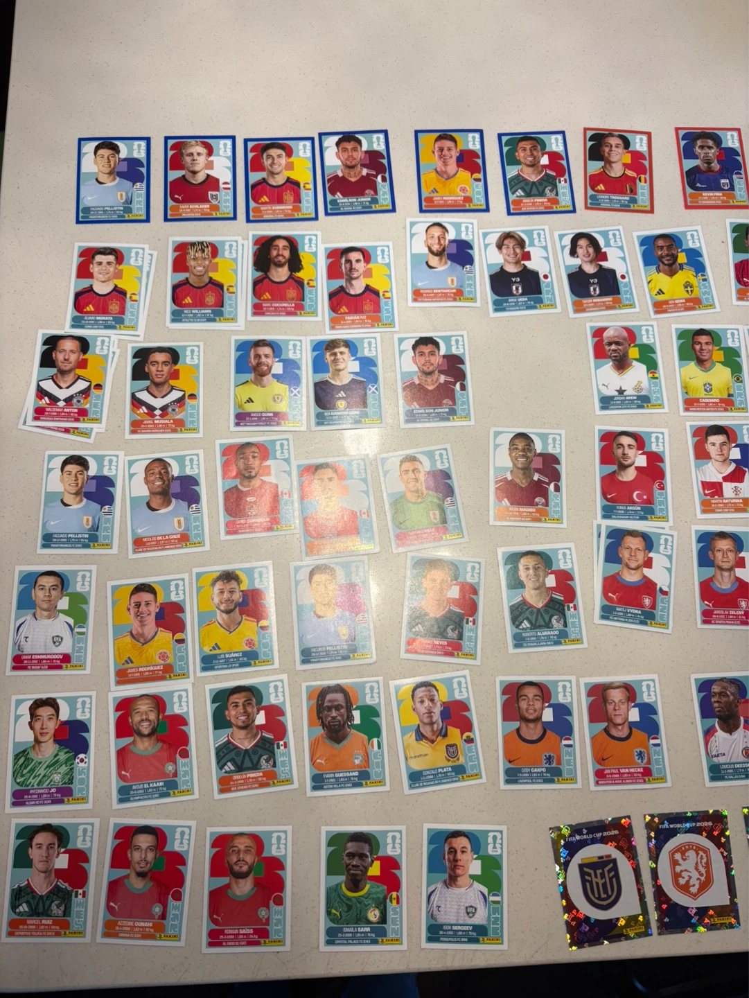 Panini World Cup Stickers ⚽️