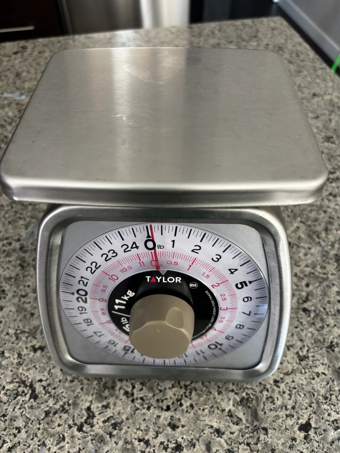 Taylor Stainless Steel Analog Kitchen Scale