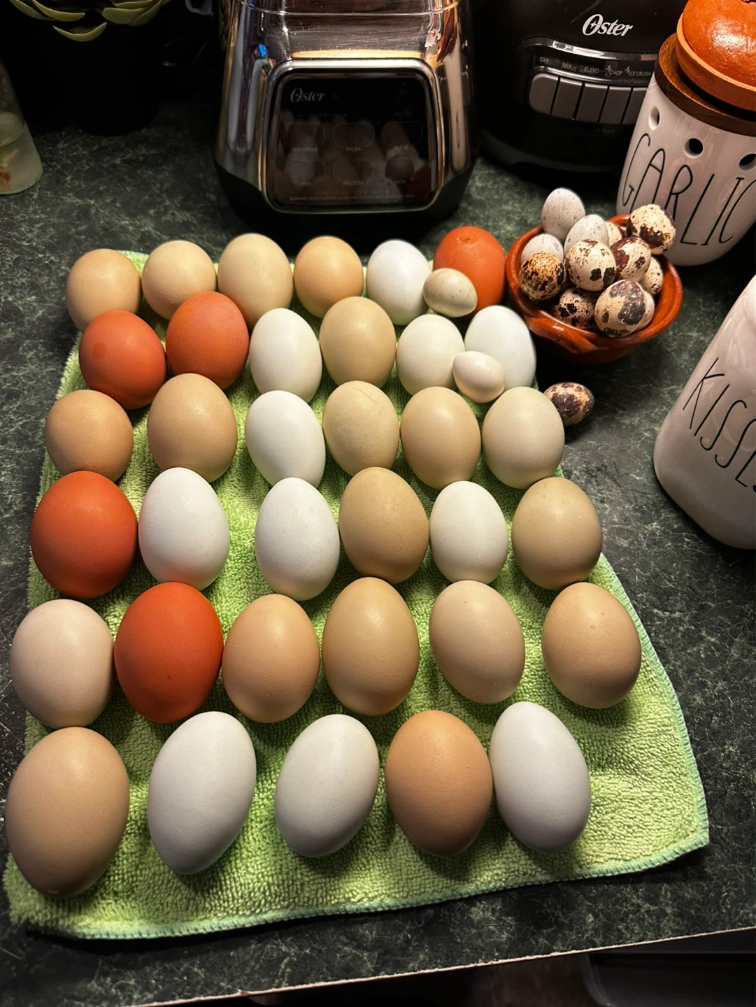 Fresh eggs today