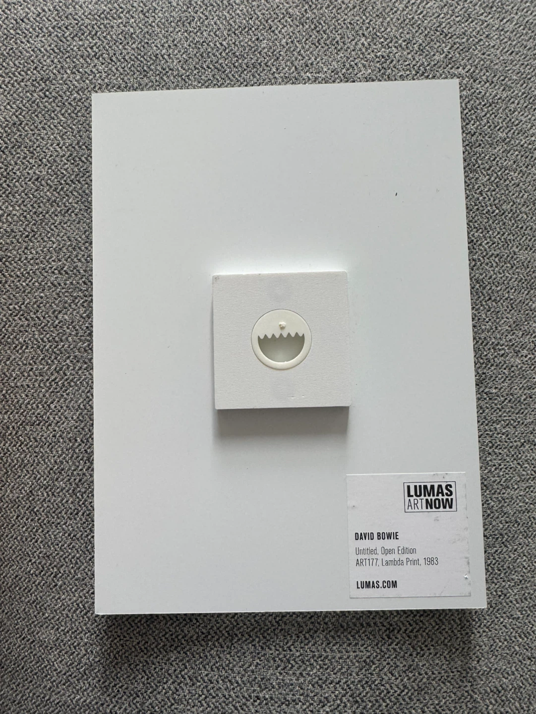 David Bowie Untitled Open Edition Lambda Print by Lumas ArtNow - photo 2