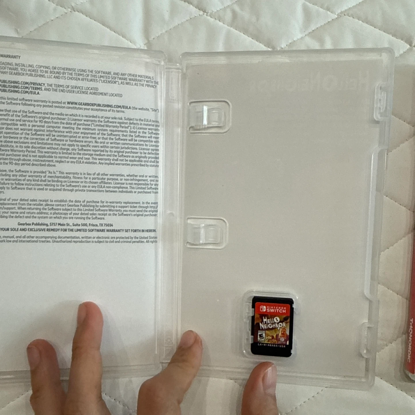 The Binding of Isaac: Rebirth + Afterbirth+ Nintendo Switch Game - photo 3
