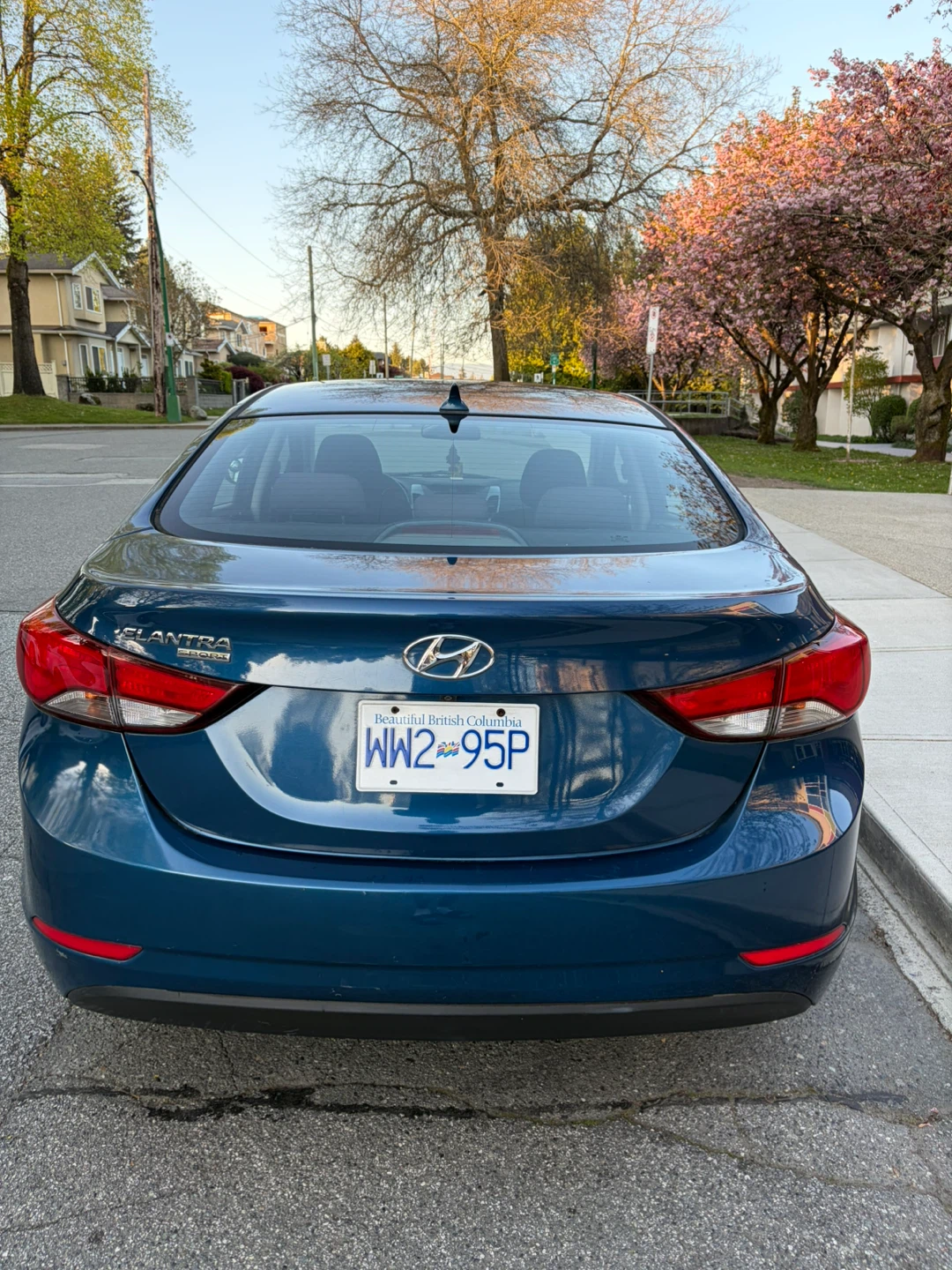 Blue Hyundai Elantra Sedan 2016 - photo 3