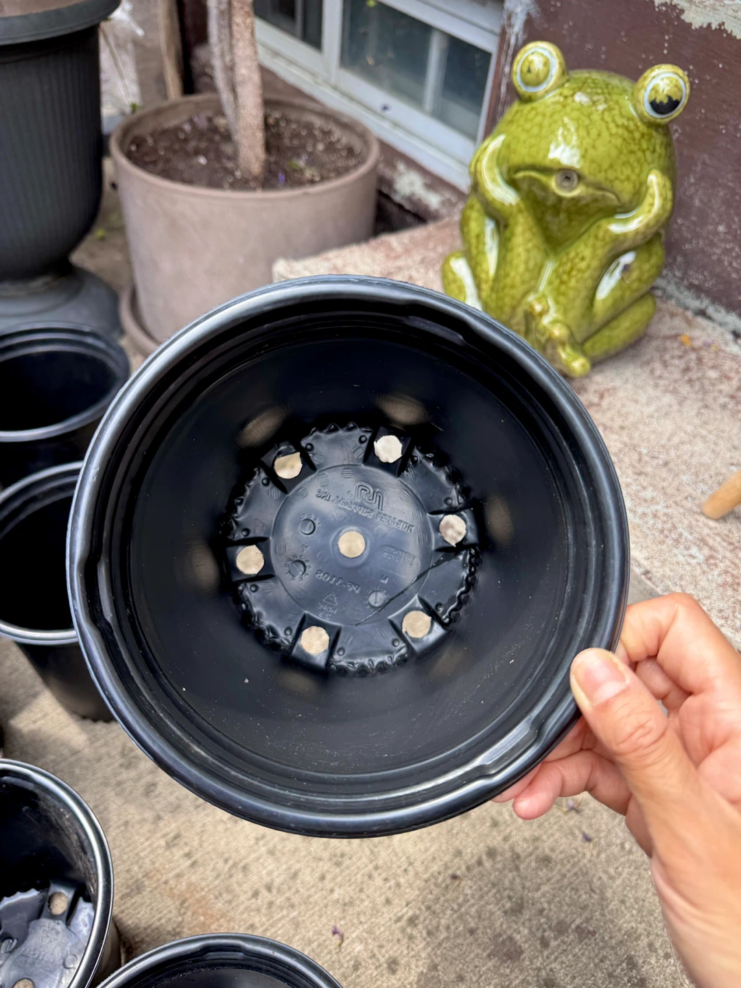 $0.5 Each Nursery Pot 6.5” Diameter x 6.5” Height - photo 5