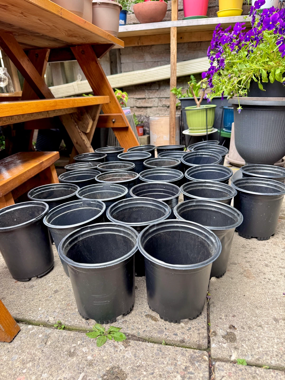 $0.5 Each Nursery Pot 6.5” Diameter x 6.5” Height - photo 2