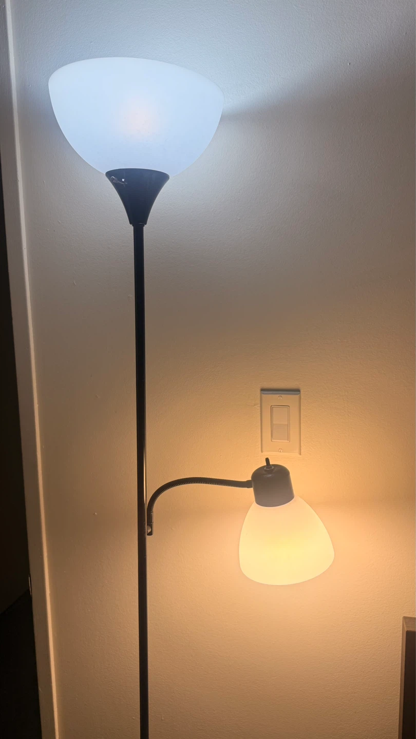 Floor Lamp with Adjustable Reading Light