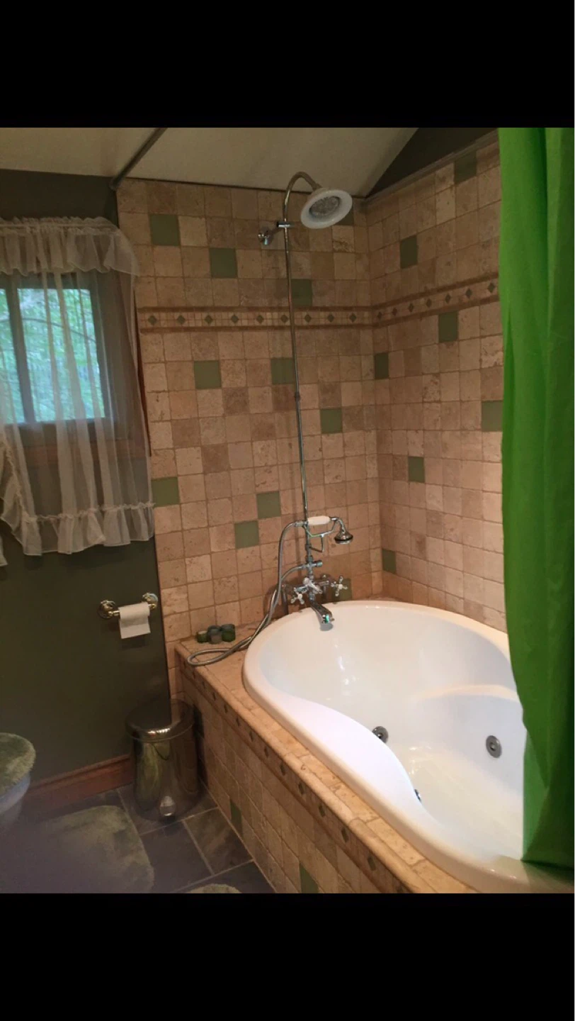 Gorgeous room for rent in the downtown Rivervalley - photo 4