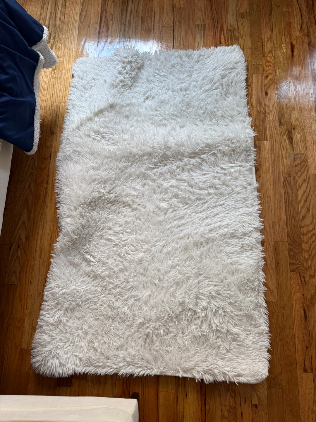 Plush White Shag Rug