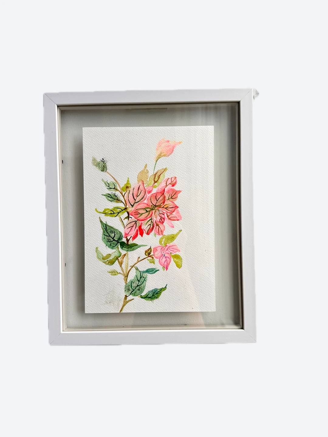 Framed Watercolor Painting of Pink Flowers