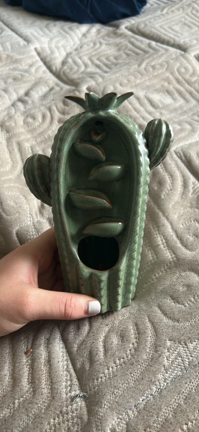 Cactus Incense Holder with Incense Cones