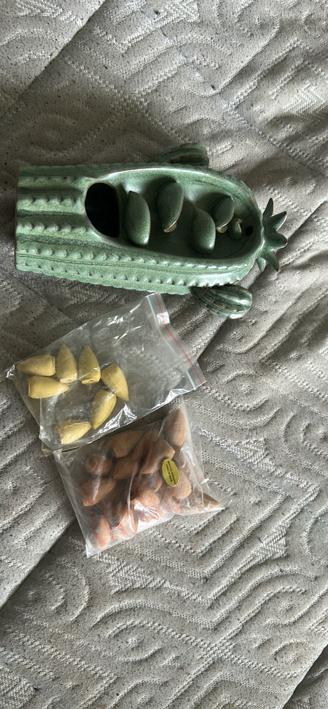 Cactus Incense Holder with Incense Cones - photo 2