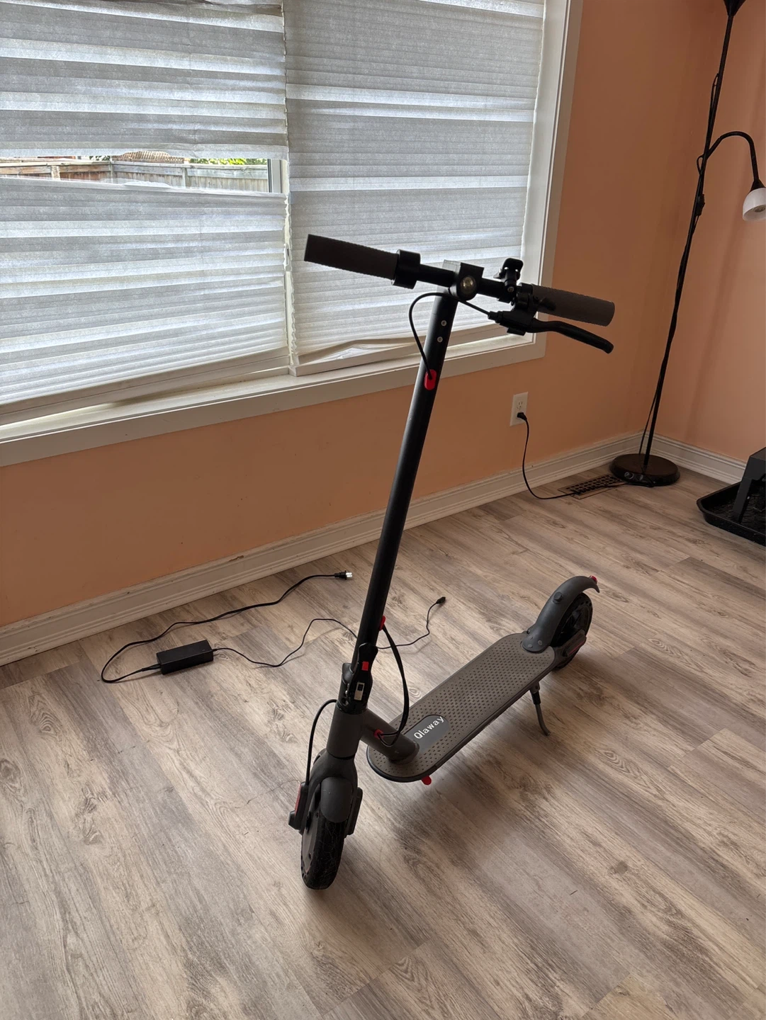 Olewai Electric Scooter