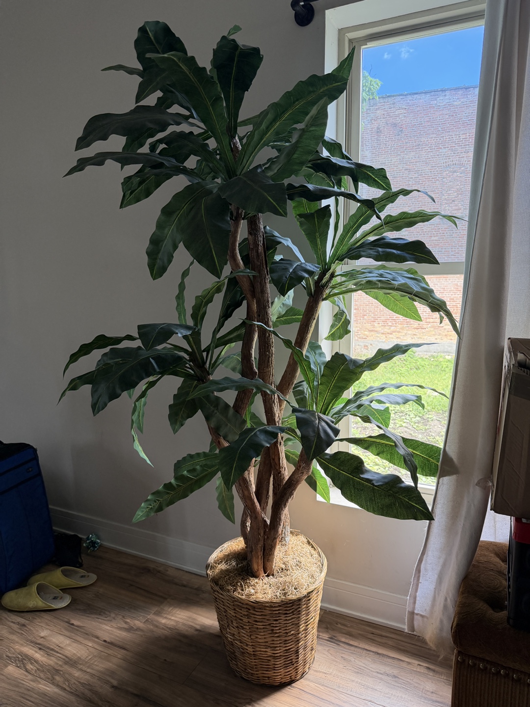 Large Faux Leaf Palm Tree in Wicker Pot ⚽