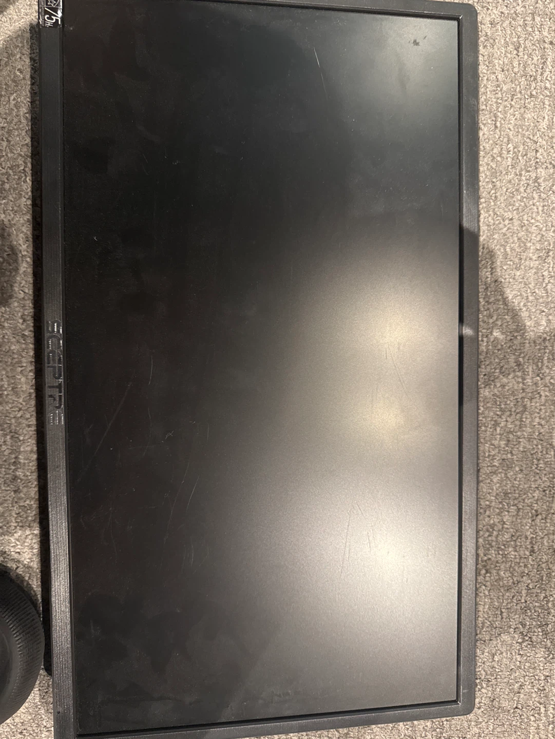 Sceptre Monitor