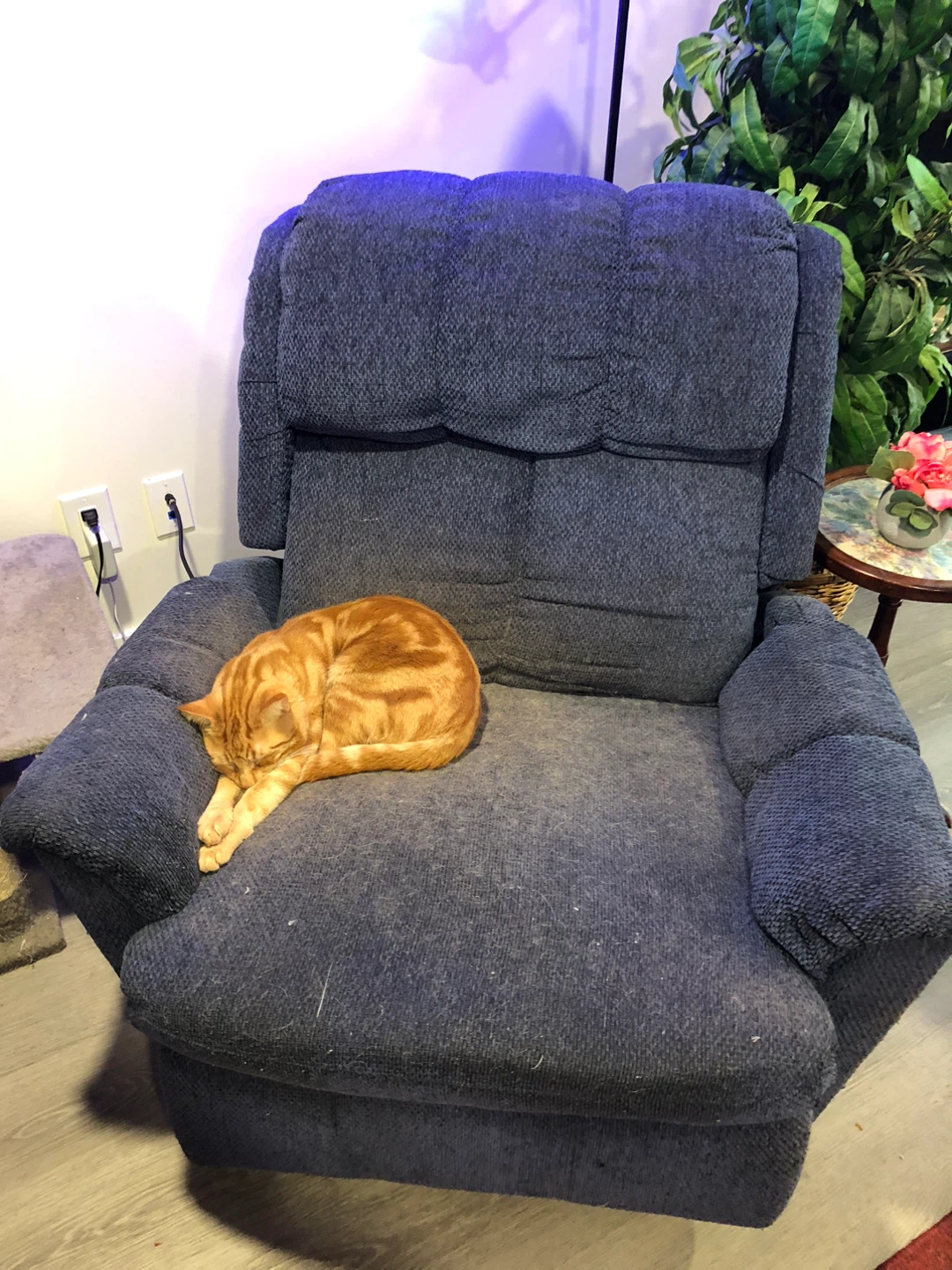 Blue Recliner Chair - photo 2