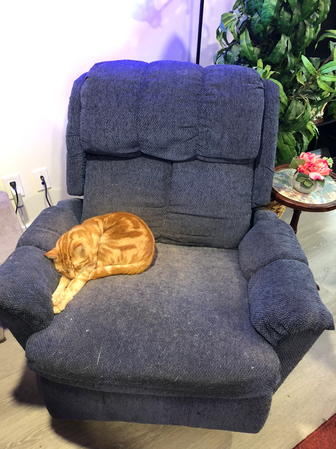 Blue Recliner Chair