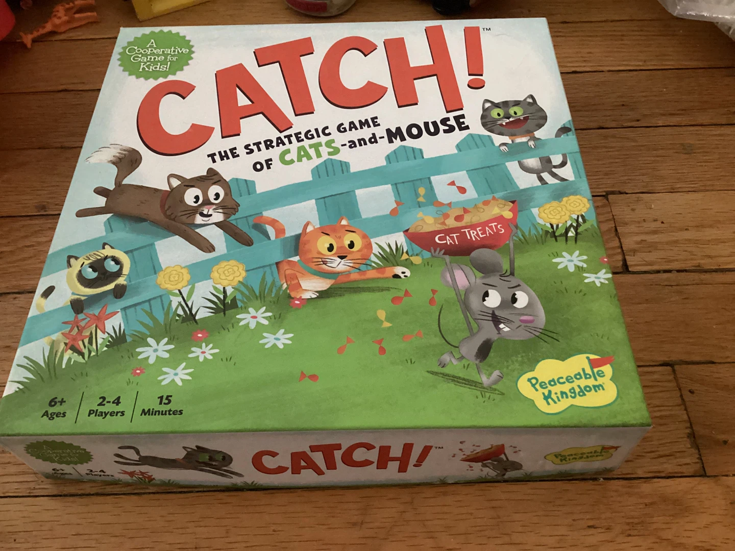 ⚽️ Catch! The Strategic Game of Cats-and-Mouse Board Game