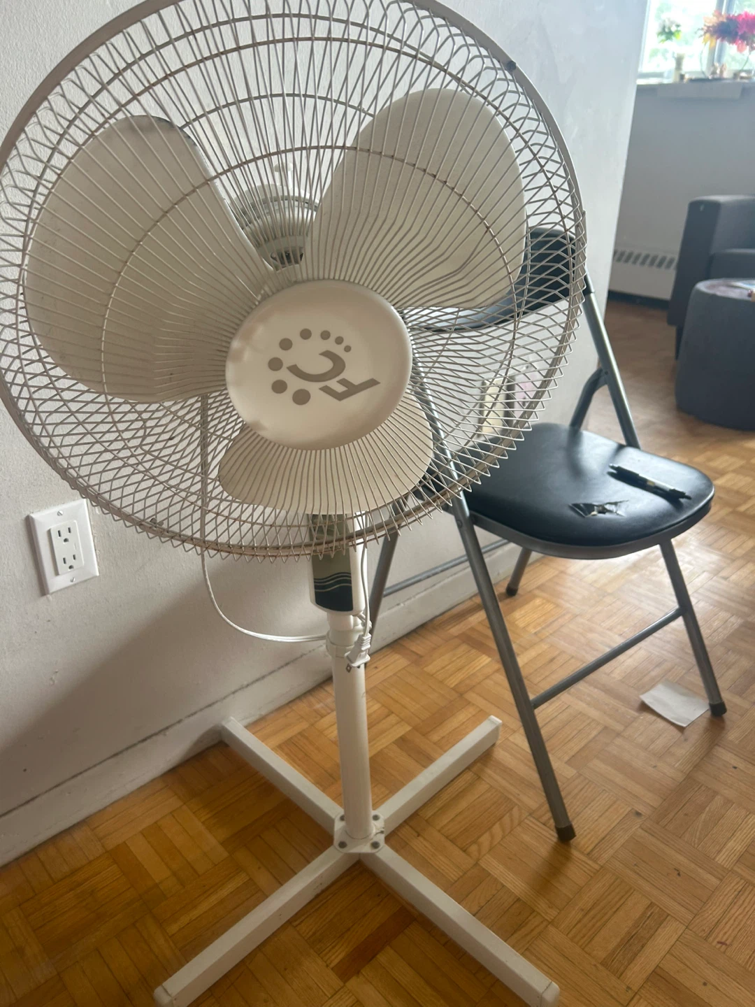 FC Pedestal Fan