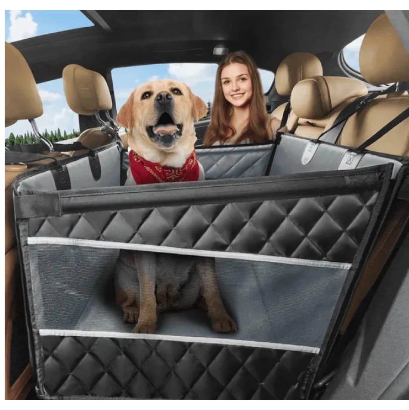 Dog car seat - photo 3