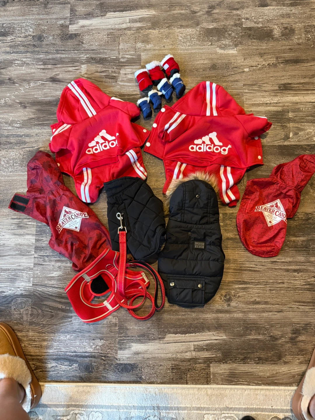 Selection of Dog Clothing, shoes and Harness